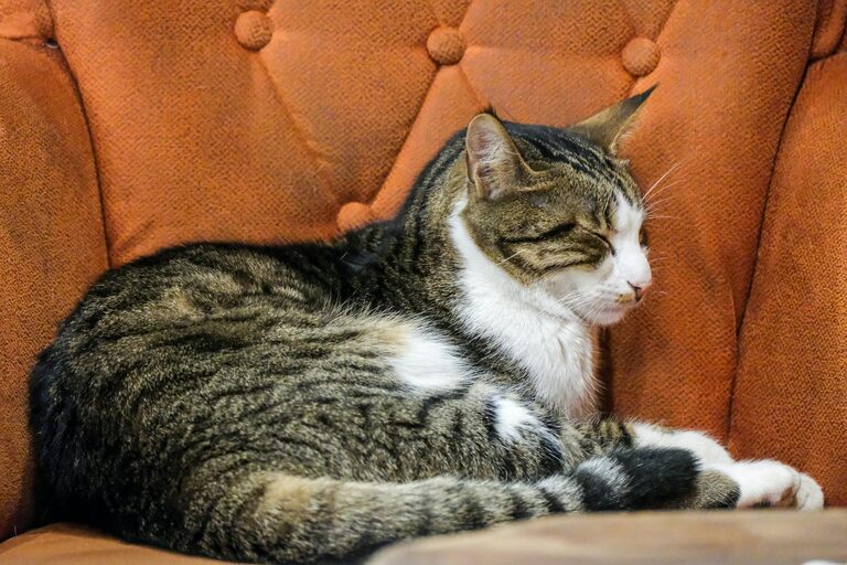 Jak zaplanować relaksujący dzień wolny w domu